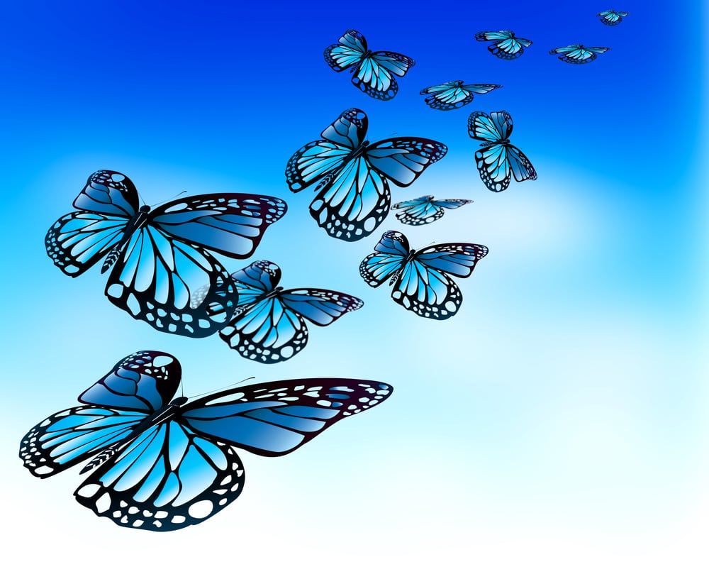 Beautiful group of butterflies flying on a blue sky