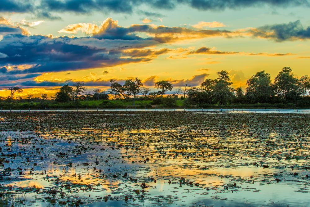 Colorful sunset in Pantanal, Brazil