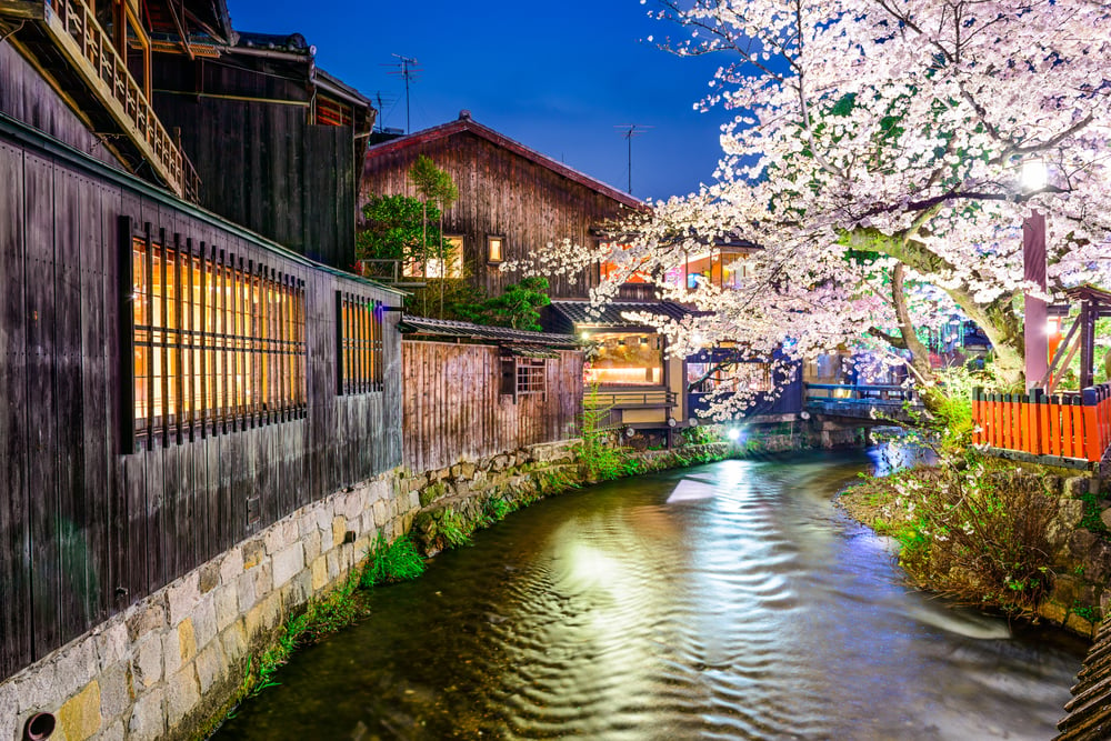 Kyoto, Japan at the Shirakawa River in the Gion District during the spring cherry blosson season.