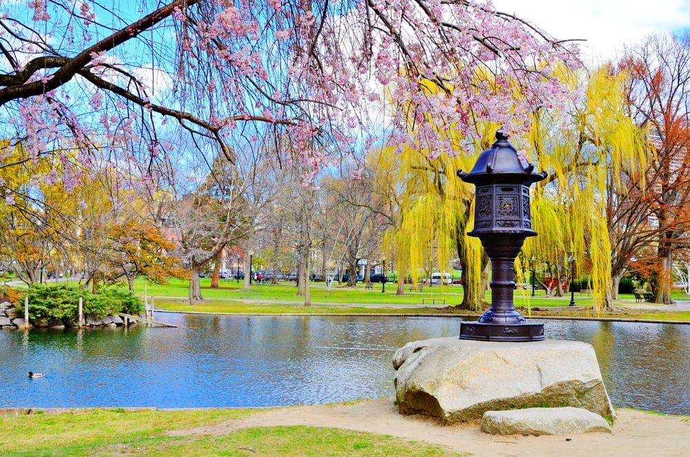 Lagoon at Boston Public Garden in Boston, Massachusetts, USA.