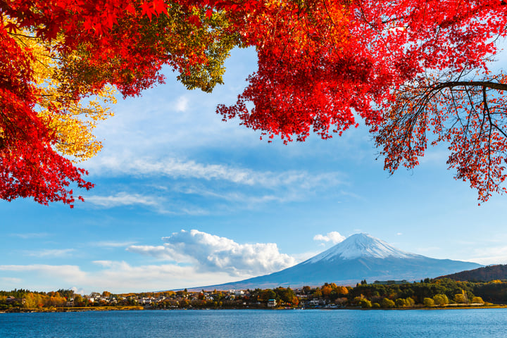 Mt. Fuji in autumn-1