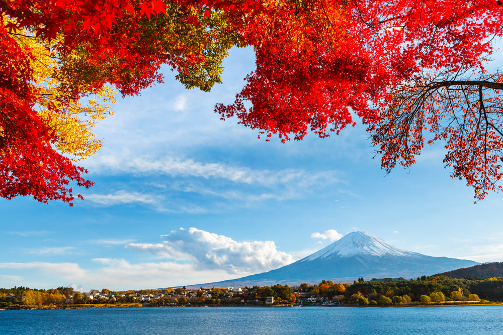 Mt. Fuji in autumn-2