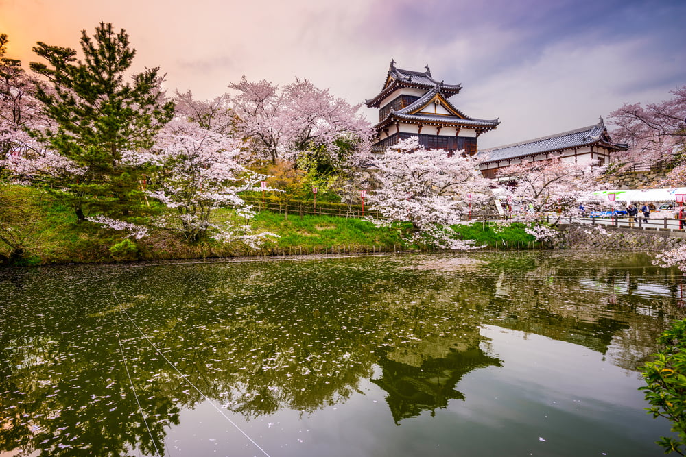 Nara, Japan at Koriyama Castle in the spring season-1