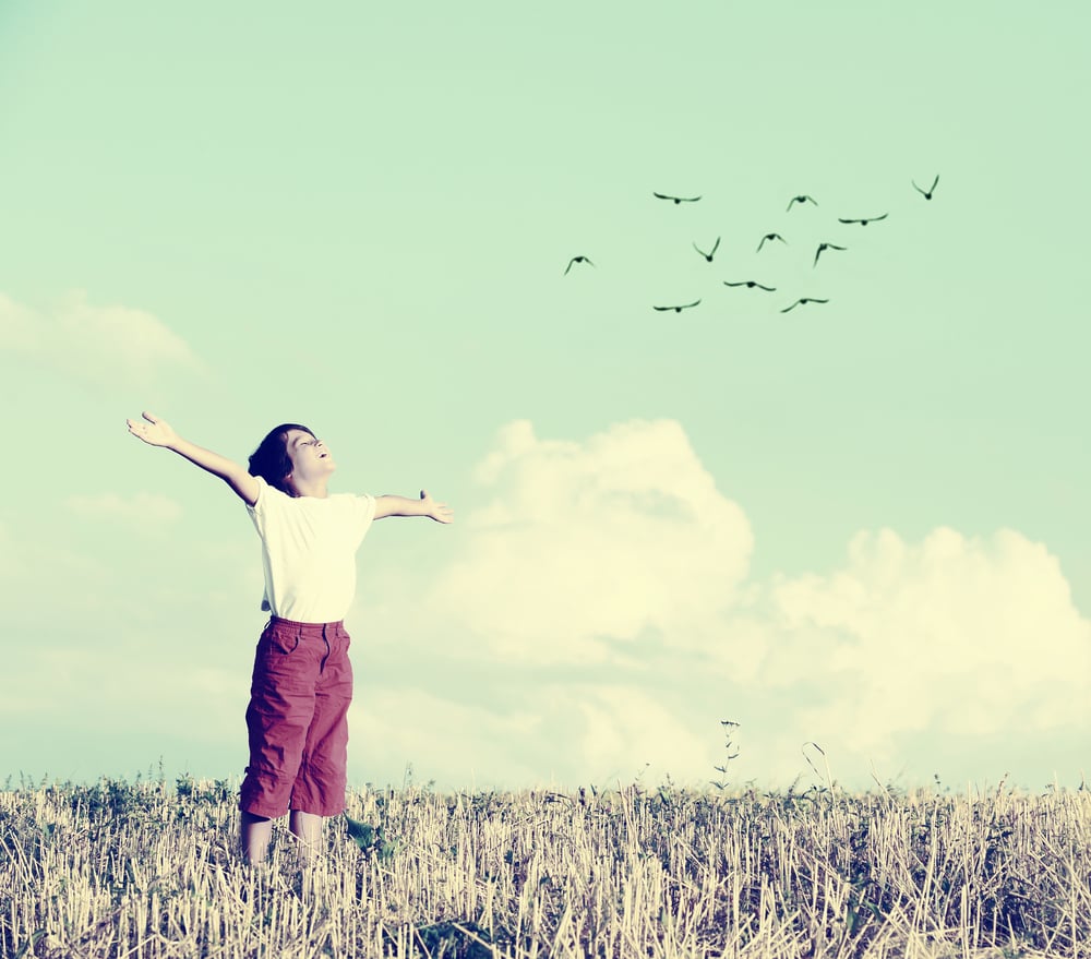 Relaxed boy breathing fresh air on a meadow with birds flying in background sky