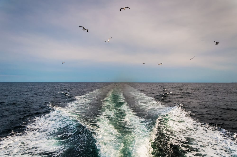 Wake from a boat in the Atlantic Ocean and seagulls.