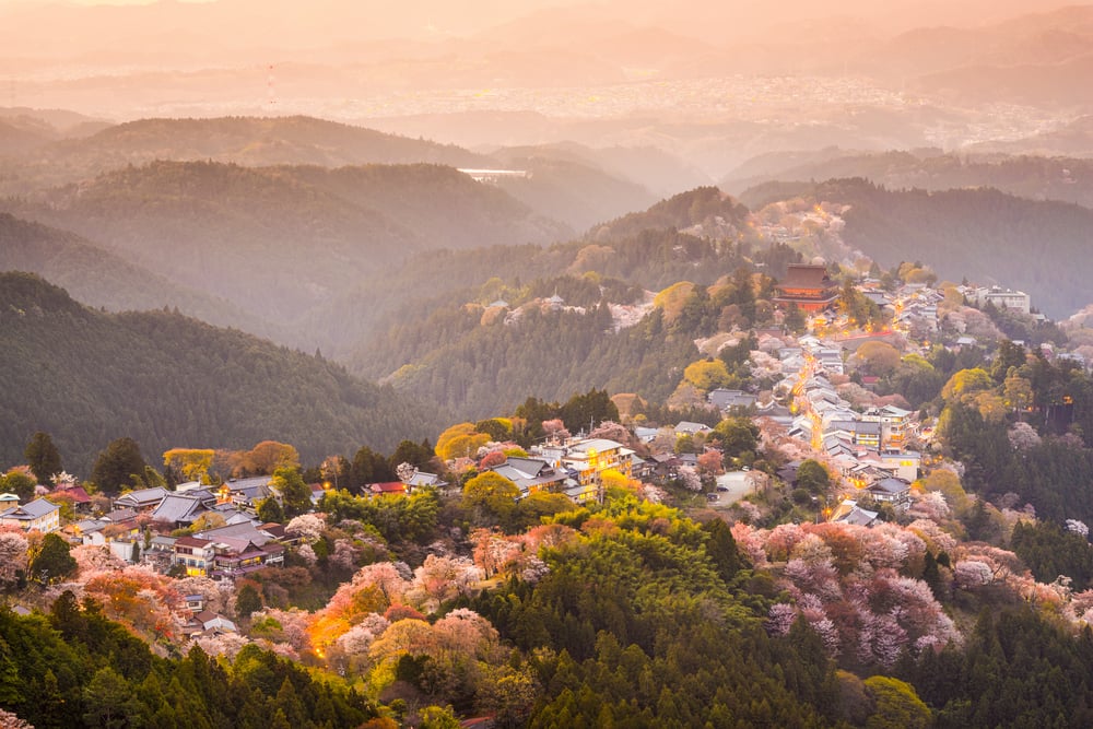 Yoshinoyama, Nara, Japan view of town and cherry trees during the spring season.-2