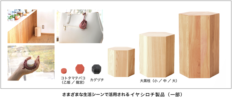 大黒柱（中） ロゴストロン